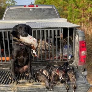 Meet your Posher, Skylar